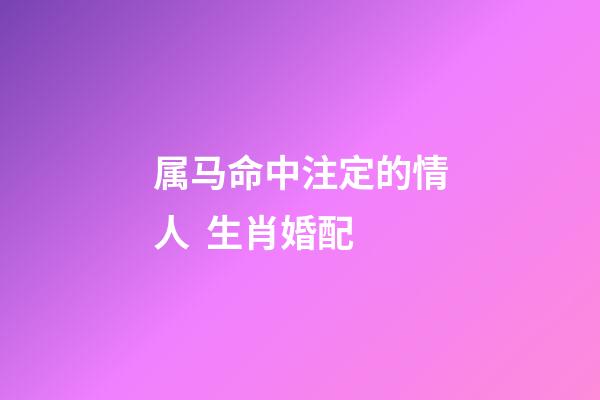 属马命中注定的情人  生肖婚配